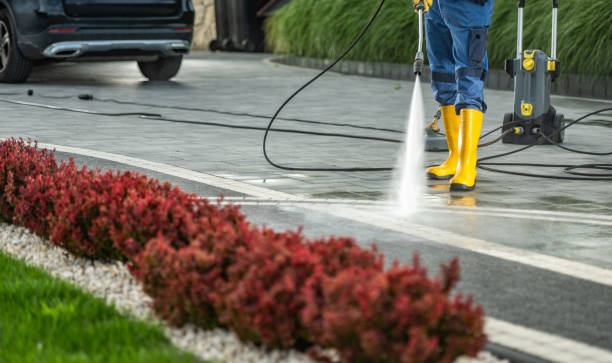 Best Spring Cleaning  in Hawkins, TX